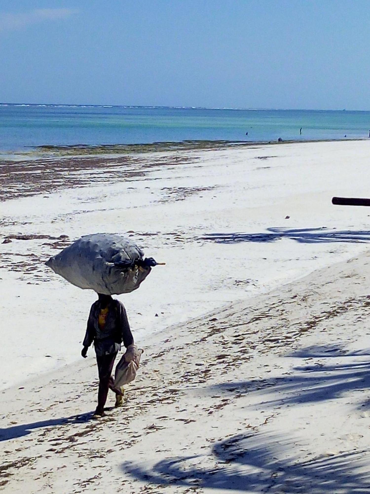 Aqua Resort Diani Beach Exterior photo